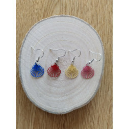 De petits coquillages colorés